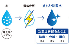 きれい除菌水