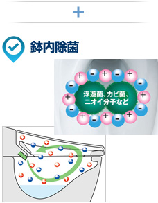 鉢内除菌