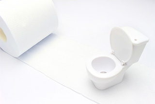 トイレットペーパーや汚物がつまった|トイレつまりの原因
